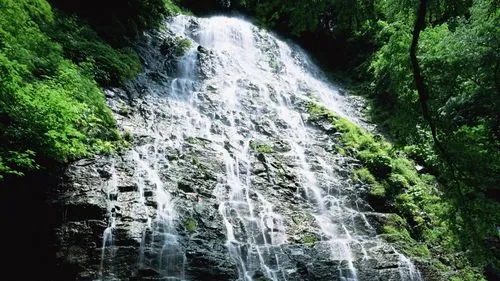 高标准稳定性